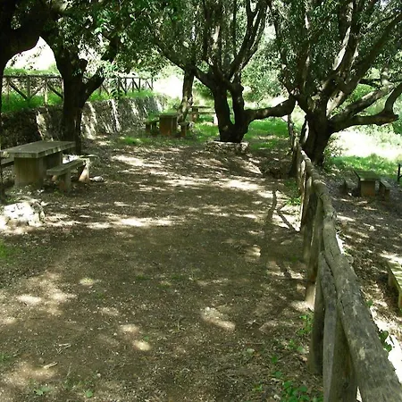 Casa di campagna Saludi E Trigu