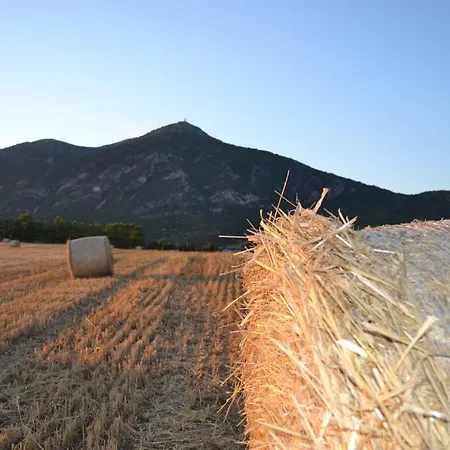 Saludi E Trigu Casa di campagna Iglesias