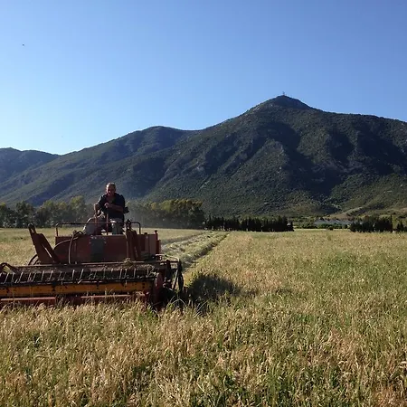 Saludi&trigu - Rural * Iglesias