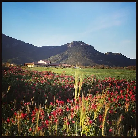 Saludi&trigu - Rural * Iglesias