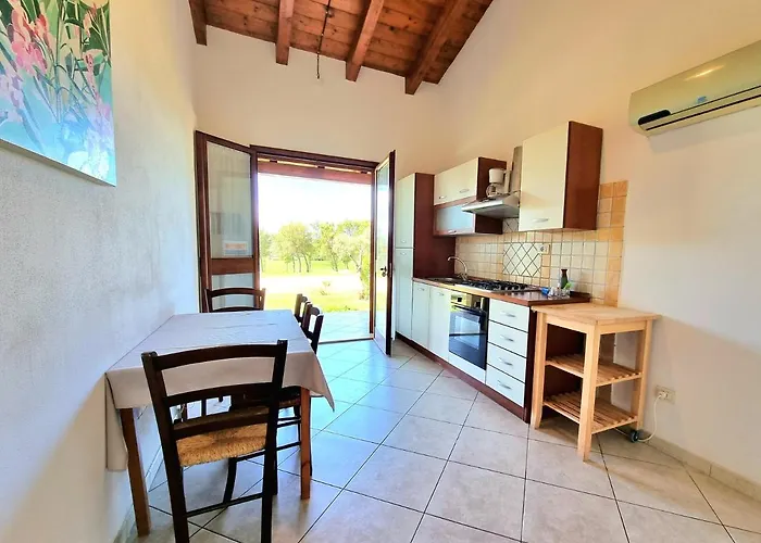 Saludi&trigu - Rural * Iglesias