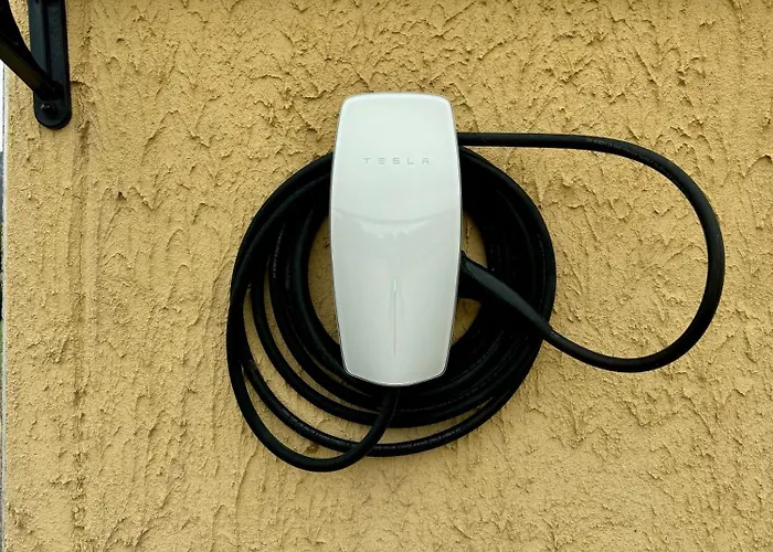 Saludi&trigu - Rural