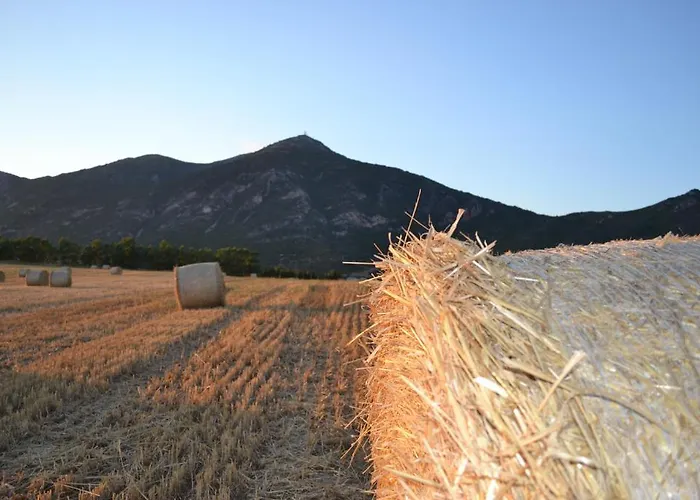 Saludi&trigu - Rural Casa de Campo Iglesias